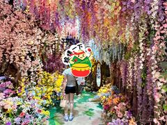 -正佳雨林生态植物园