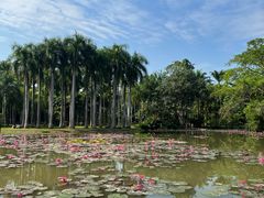 -中国科学院西双版纳热带植物园