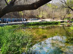 -白水寺森林公园