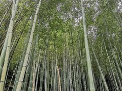 -沣峪森林公园龙潭戏水景区