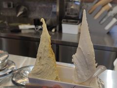 -野人先生Gelato(上海长宁龙之梦店)