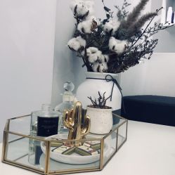 -紫御国际抗衰ZOE ANTI AGING