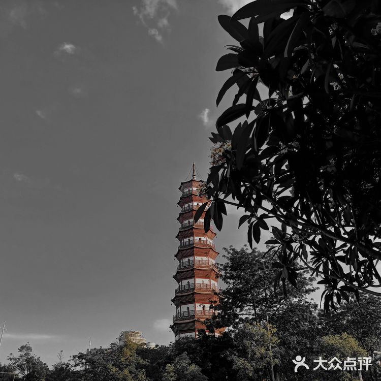 只需60元!!最省钱上广州塔攻略来啦~