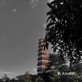 只需60元！！最省钱上广州塔攻略来啦～