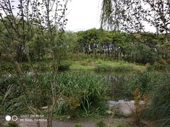 -新江湾城公园