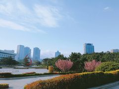 -山东大学(威海校区)