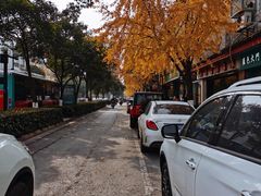 -协和菜馆(凤凰街店)