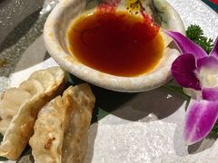 日式煎饺-酒井酱子·深夜食堂(东城汇店)