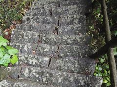 -东天目山风景区