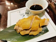 白切鸡-新白鹿餐厅(爱琴海购物中心店)