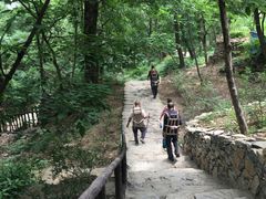 -北京上方山国家森林公园