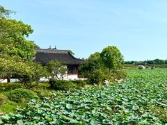 -上海海湾国家森林公园