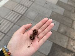 -龙华素斋(龙华路店)