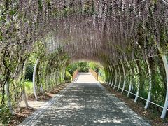 -同里国家湿地公园