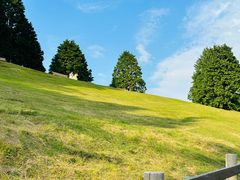 -神户市立六甲山牧场
