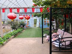 -武汉世外桃源农庄