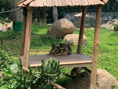 -广州长隆野生动物世界