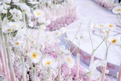 -忆江南婚礼策划(姑苏店)