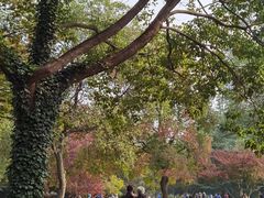 -洛阳市隋唐城遗址植物园
