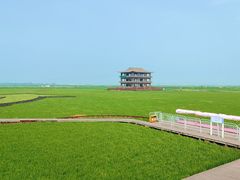 -红海滩国家风景廊道
