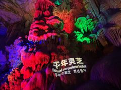 -金狮洞国家地质公园