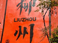 -娇姐老牌螺蛳粉(雅儒路店)