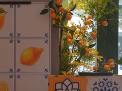 -沛家·西餐Brunch·直火料理