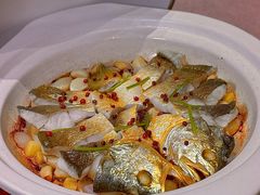 红胡椒煎东海大黄鱼-新光酒家·河豚·海鲜·蟹料理(浦东店)