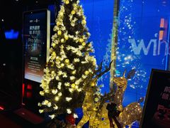 -温莎KTV(国贸店)