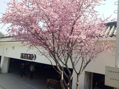 -尧山风景区