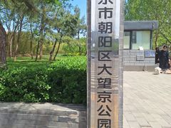 -大望京公园