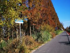 -上海长兴岛郊野公园