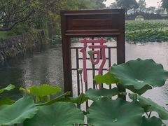 -无锡蠡湖国家湿地公园-蠡园