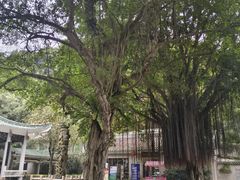 -广州市白云山风景名胜区