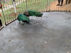 -求水山公园