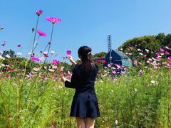 -广州市流溪河国家森林公园