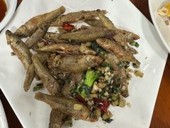 -品雅轩农家乐