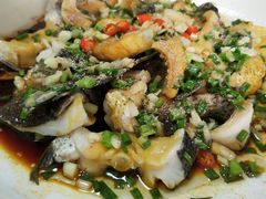 -全乐鱼馆·淳牌有机鱼直营店