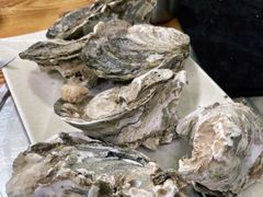 -大富蚝乌东哥饭店·石锅鱼杂·柠檬鸭(革新路店)