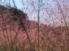 -牛岗山公园