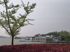 -水上明月·湖景餐厅