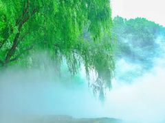 -北京西山国家森林公园