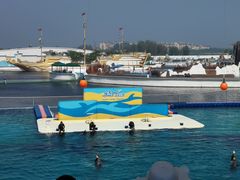 -秦皇岛乐岛海洋王国