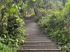 -广州市白云山风景名胜区