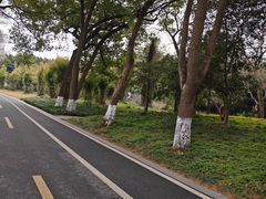 -采石矶景区