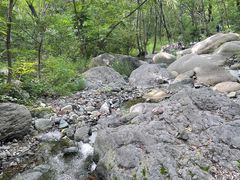 -云岫谷游猎自然风景区