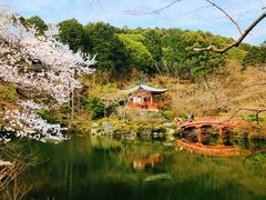 -醍醐寺