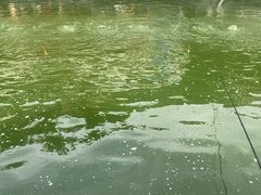 -DGE季风钓虾营地·团建·聚会