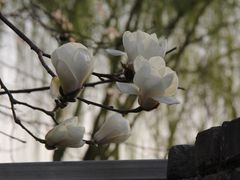 -三里河公园