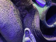 -太平洋海底世界